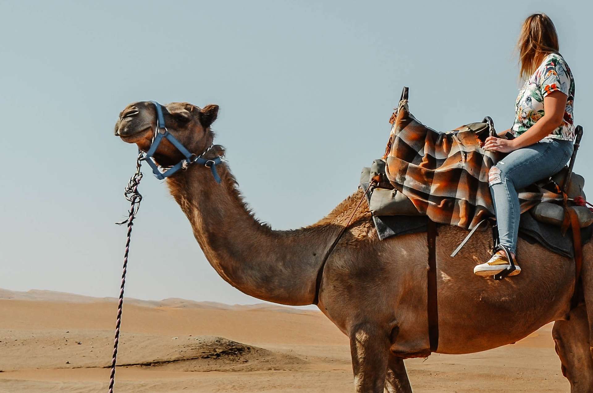 BBQ & Camel Ride Tour