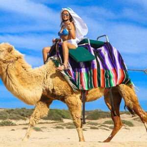 BBQ & Camel Ride Tour