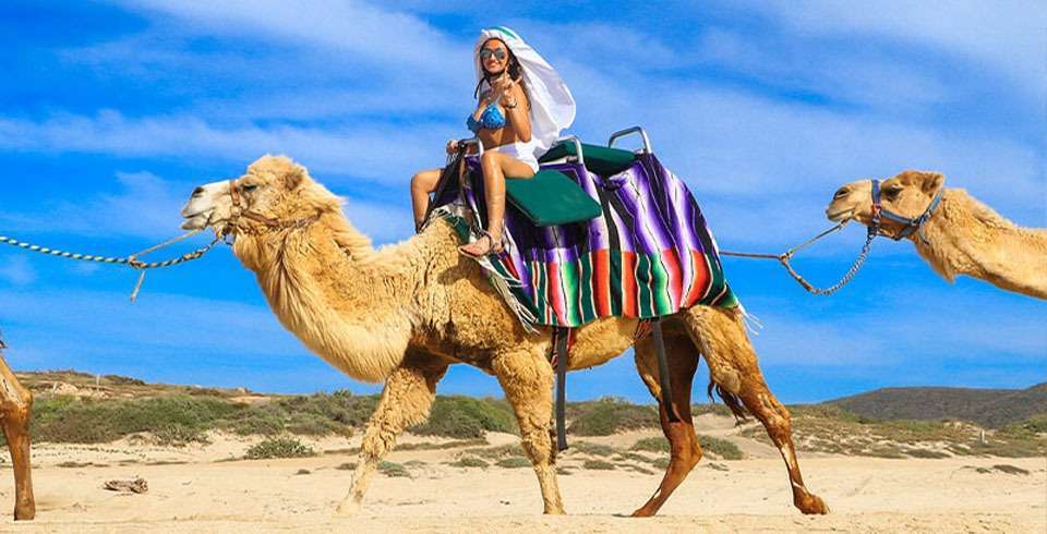 BBQ & Camel Ride Tour