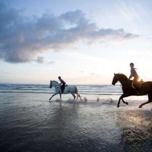 Horse Riding in Agadir