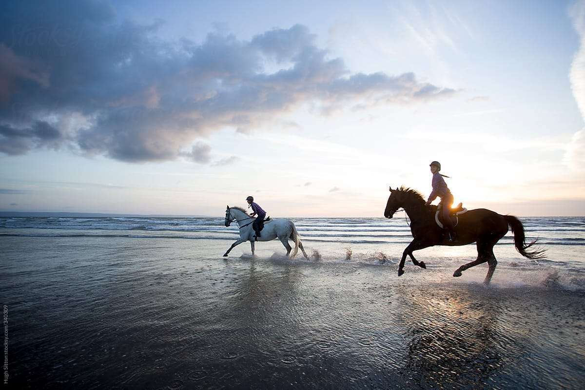 Horse Riding in Agadir