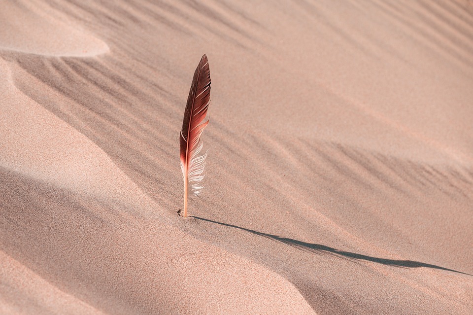 Marrakech desert trips