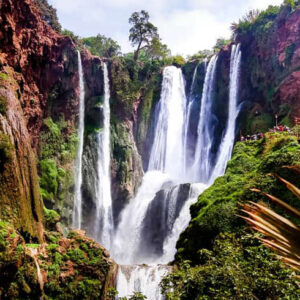 Ouzoud Waterfalls from Marrakech with Boat Ride