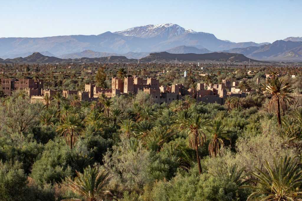 Day Trips from Ouarzazate: Explore Morocco’s Hidden Gems
