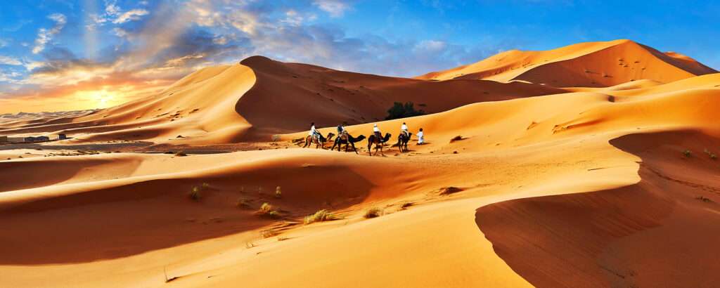 Camels rides amongst the Sahara sand dunes of zagoraMorocco, Africa