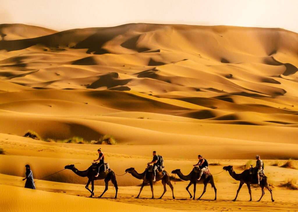 Ready for Adventure How to Make 2024 Your Year of Epic Morocco Desert Tour