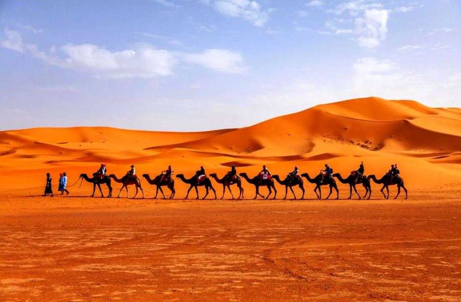 Erg Chebbi Dunes or Erg Chegaga Desert in Morocco? The Ultimate Guide to Choosing Your Desert Adventure