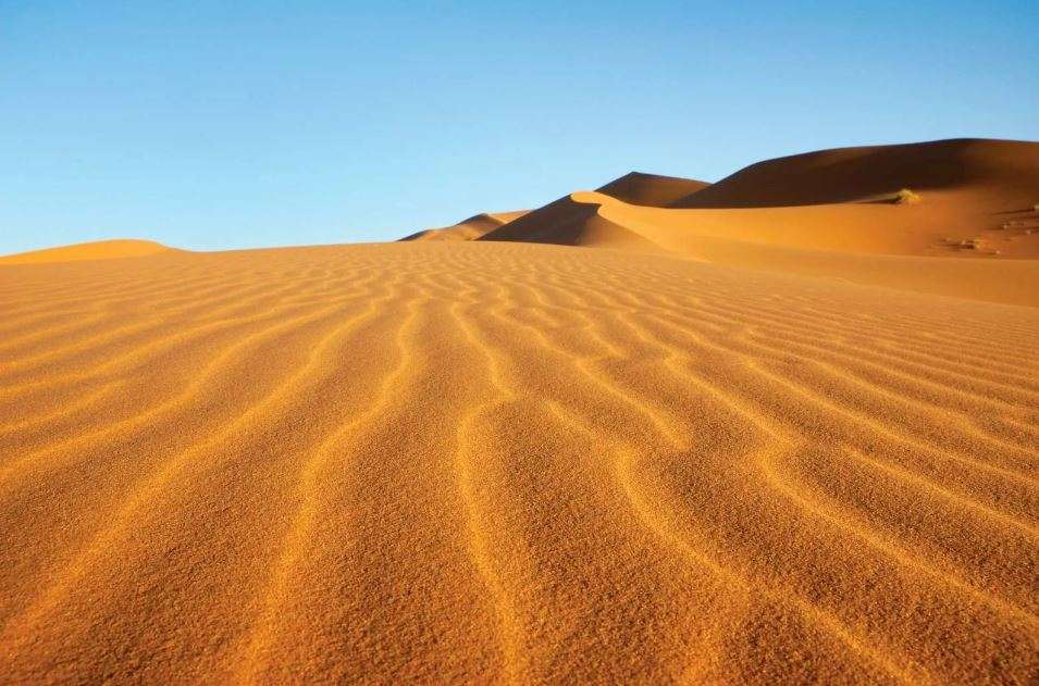 What Activities Can You Do in the Sahara Desert